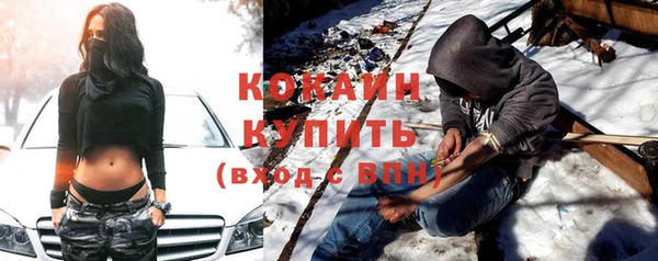 дживик Белокуриха