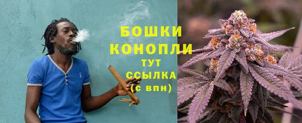 дживик Белокуриха