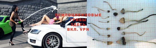 амф Белоозёрский