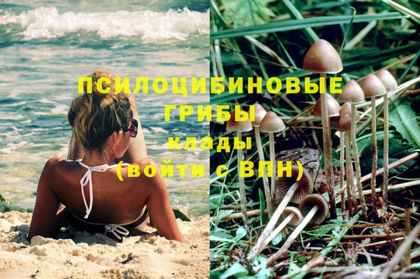 дживик Белокуриха