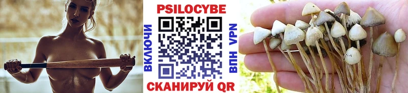 Галлюциногенные грибы ЛСД  Власиха 